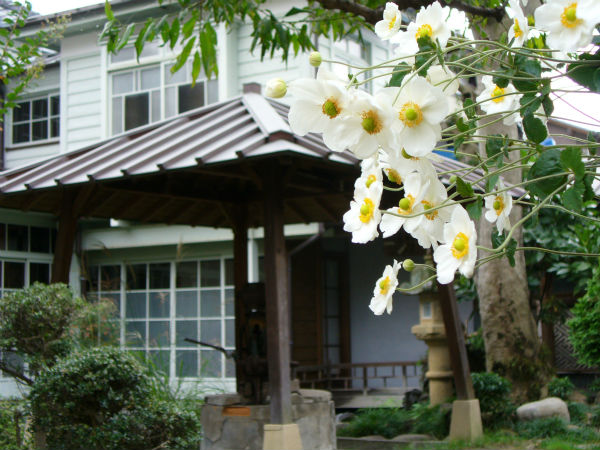 10月花④.jpg